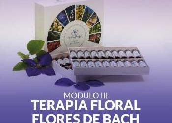 III Módulo de Formación Terapia Floral / Flores de Bach